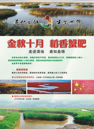 游客雜志廣告服務 連接全球旅行者，點亮品牌旅程